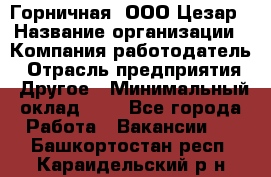 Горничная. ООО Цезар › Название организации ­ Компания-работодатель › Отрасль предприятия ­ Другое › Минимальный оклад ­ 1 - Все города Работа » Вакансии   . Башкортостан респ.,Караидельский р-н